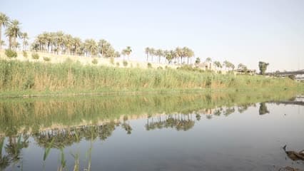 نهر ديالى