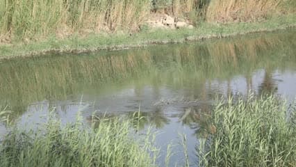 نهر ديالى , العراق