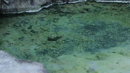 واحة عين كبريت , الموصل