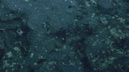 عين مياه , الموصل , عين كبريت