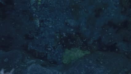 عين مياه , عين كبريتية