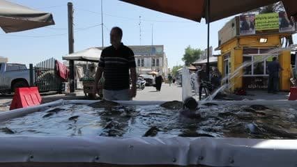 هيأة التقاعد الوطنية , تجار بيع سمك