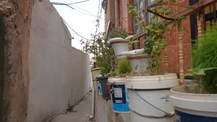 باحة الجامع , هيت