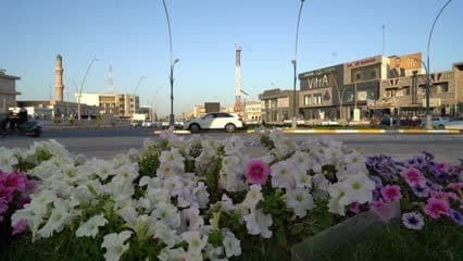 شوارع , حدائق , سيارات