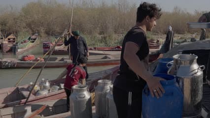 اهوار الجبايش , قوارب , حياة يومية , حليب جاموس