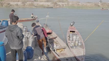 اهوار الجبايش , تفريغ حليب جاموس