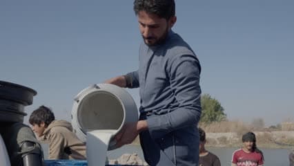 حليب جاموس , اهوار الجبايش , حياة يومية