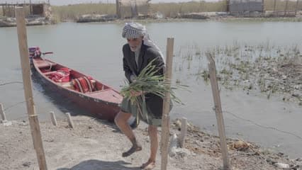 اهوار الجبايش , حياة يومية