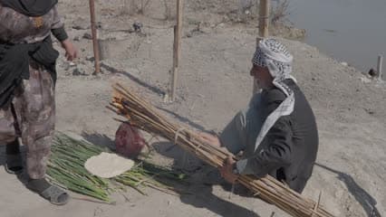 حياة يومية , اهوار الجبايش ,سمك مسكوف