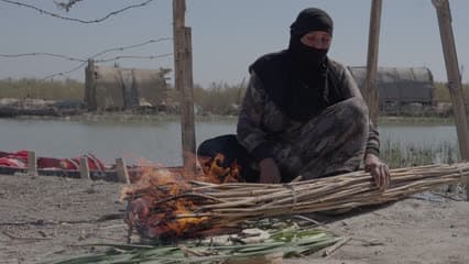 اهوار الجبايش , حياة يومية , مسك مسكوف , مرحلة الشوي