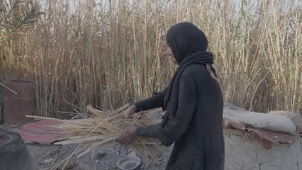 Bread in the Iraqi tandoor, a clay oven, the marshes