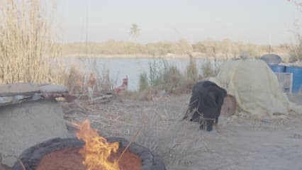The Marshes of Iraq, preparing Iraqi bread, and a clay tandoor oven