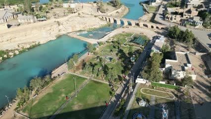 حجلان 