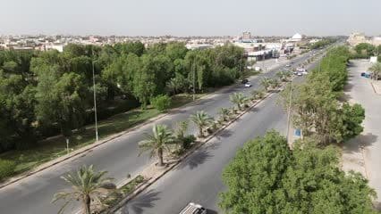 شارع الحزام الاخضر , اشجار