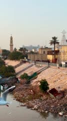 طائر النورس , نهر دجلة , القشلة , جسر الشهداء