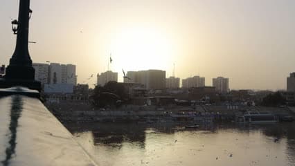 جسر الشهداء , طيور النورس , غروب الشمس