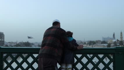 طيور النورس , بغداد , جسر الشهداء