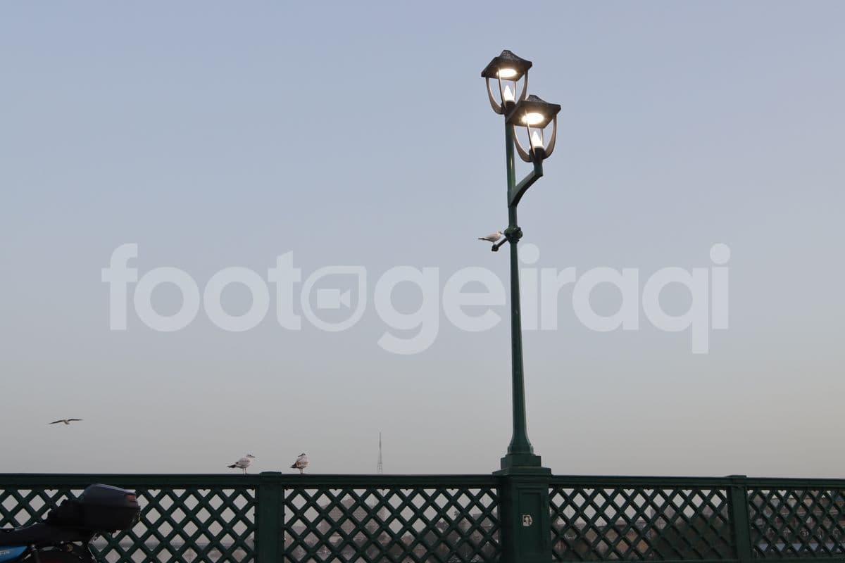 جسر الشهداء , مشهد ليلي